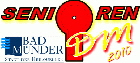 DSM2010-387x175